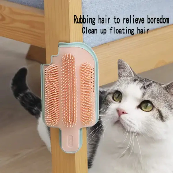 Kedi Otu Hazneli Kedi Kaşınma Atı ( Lisinya )