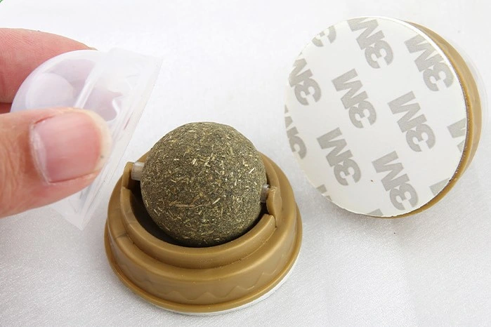 Kedi Otu Oyun Topu ( Lisinya )