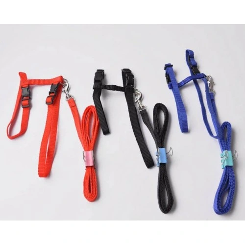 Kedi Tasması ( Lisinya )