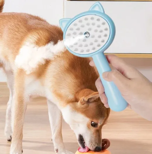 Kedi Ve Köpekler İçin Buharlı Masaj Tarağı ( Lisinya )