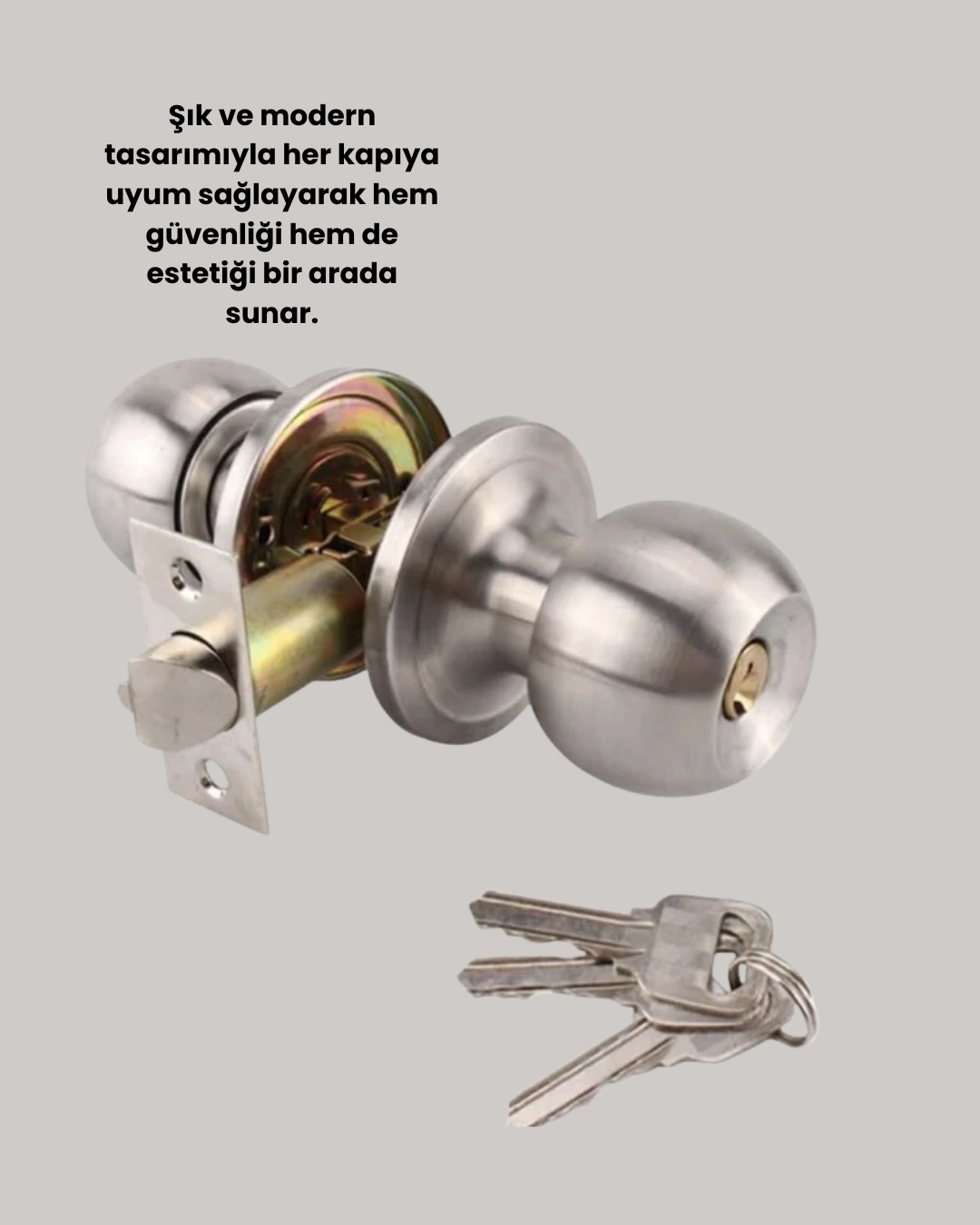 Kolay Montajlı Modern Tasarım Topuzlu Kilit ( Lisinya )