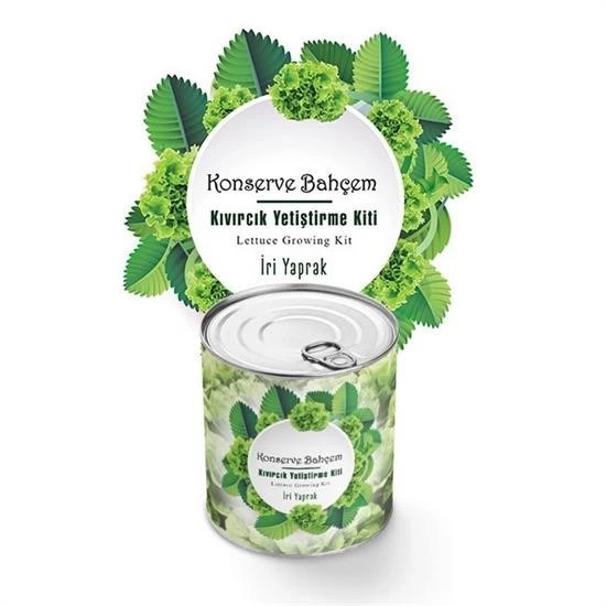 Konserve Bahçem Evde Konservede İri Yapraklı Kıvırcık Yetiştirme Kiti ( Lisinya ) Konserve Bahçem Evde Konservede İri Yapraklı Kıvırcık Yetiştirme Kiti ( Lisinya )