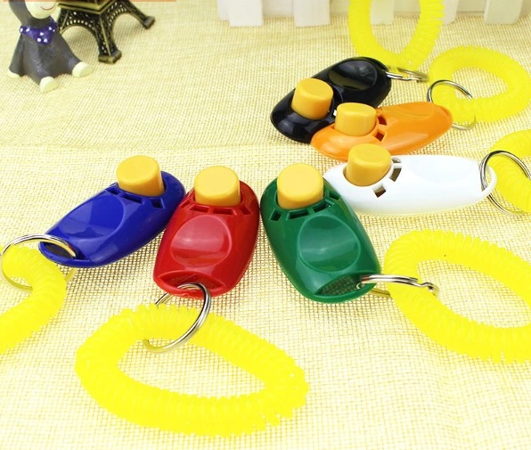 Köpek Eğıtımı Clıcker ( Lisinya )