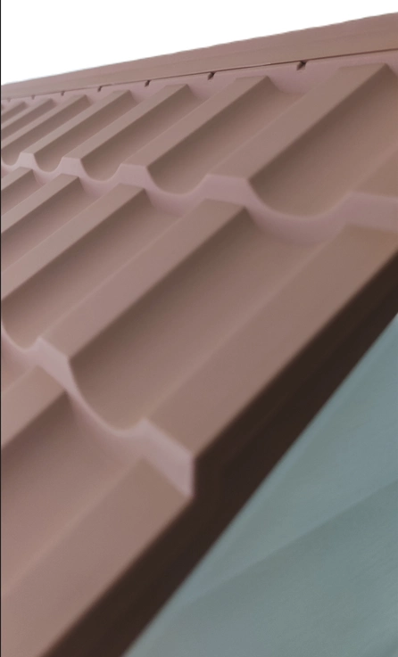 Köpek Kulübesi ( Lisinya )