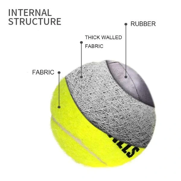 Köpek Oyun Topu 4 Adet ( Lisinya )