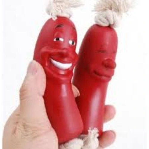 Köpekler İçin Oyuncak Sosis ( Lisinya )