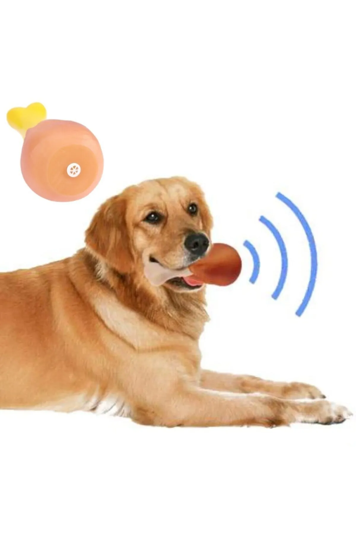 Köpekler İçin Sesli Oyuncak Tavuk Butu ( Lisinya )