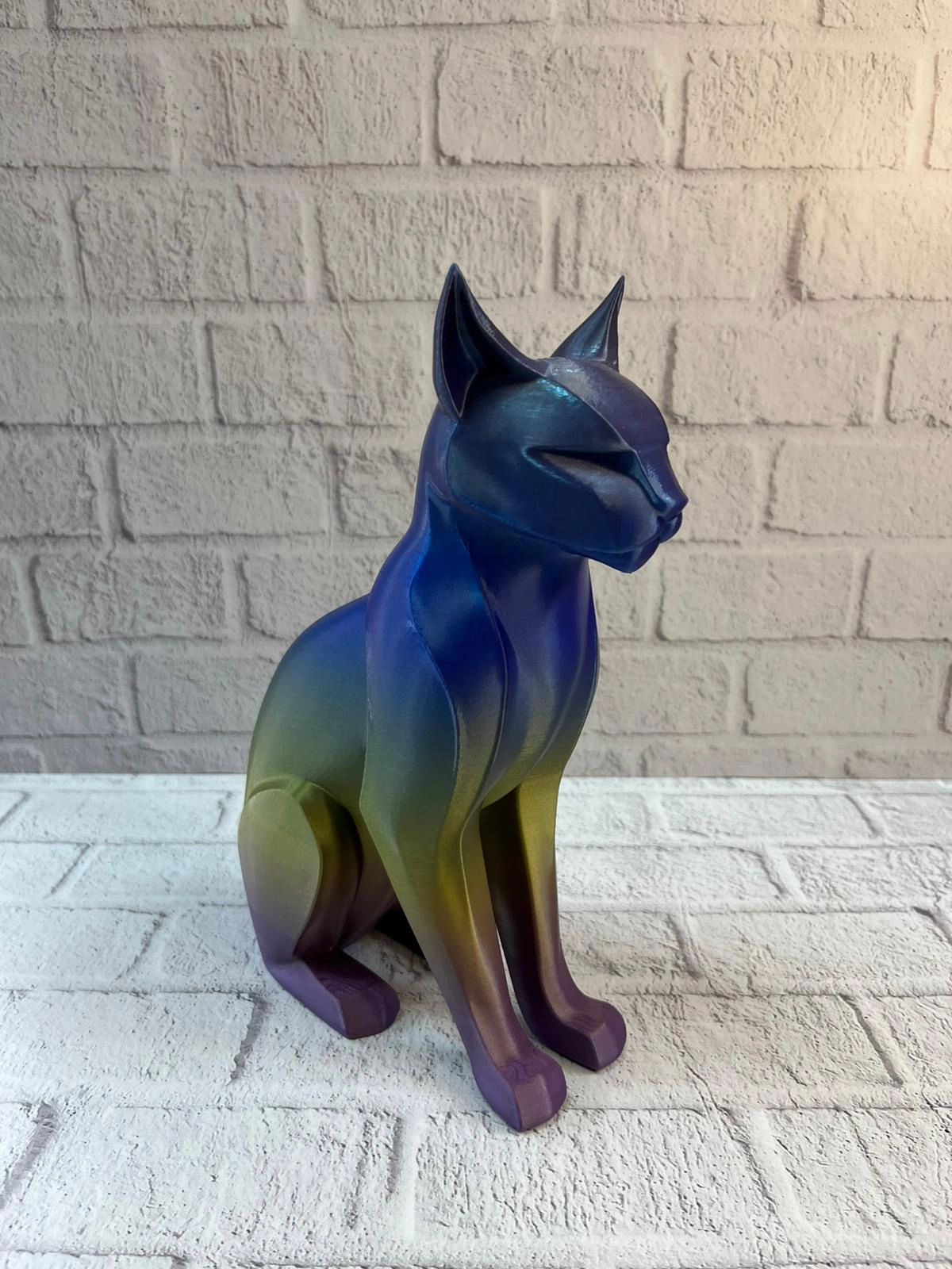 Koyu Rainbow Kedi ( Lisinya )