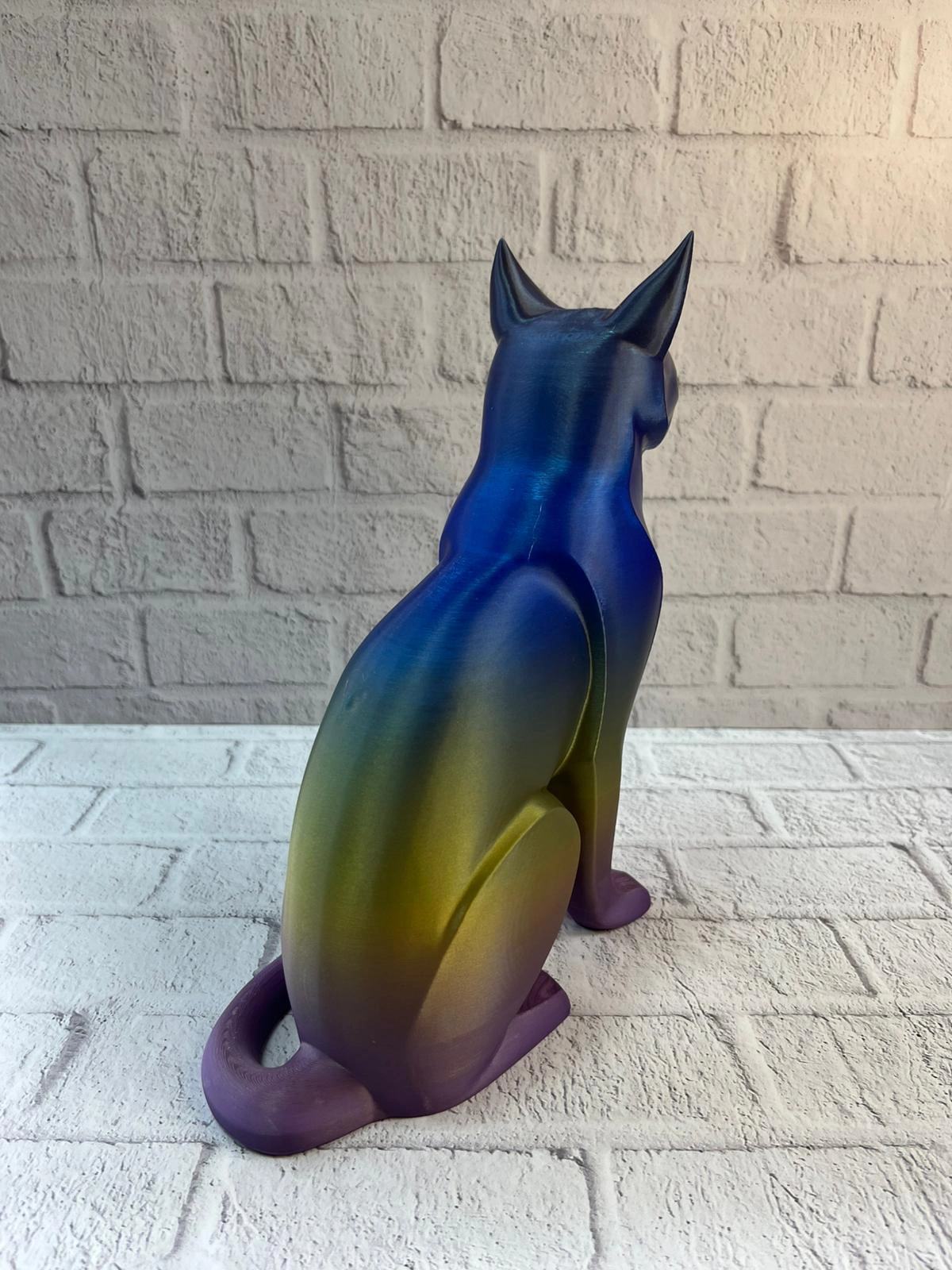 Koyu Rainbow Kedi ( Lisinya )