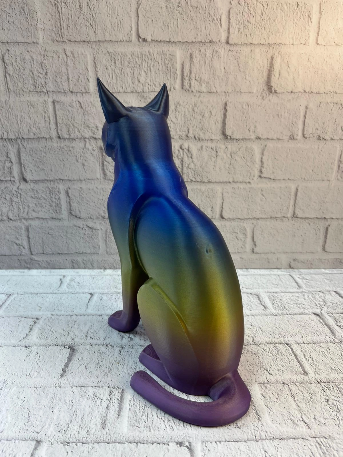 Koyu Rainbow Kedi ( Lisinya )