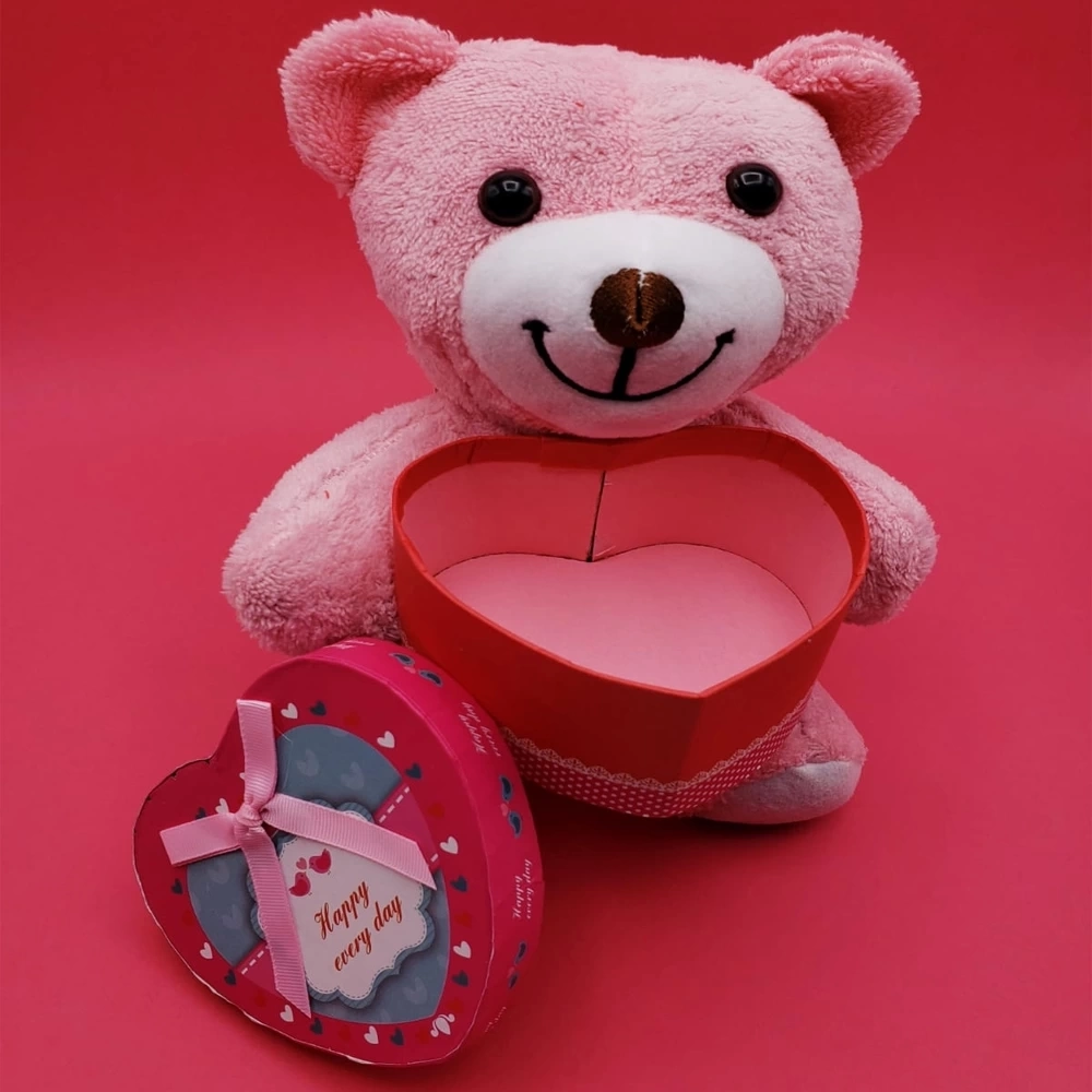 Kutulu Pembe Ayıcık ( Lisinya )