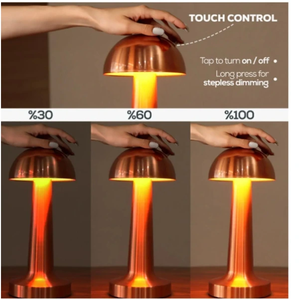 Mantar Dokunmatik Led Masa Lambası ( Lisinya ) Mantar Dokunmatik Led Masa Lambası ( Lisinya )