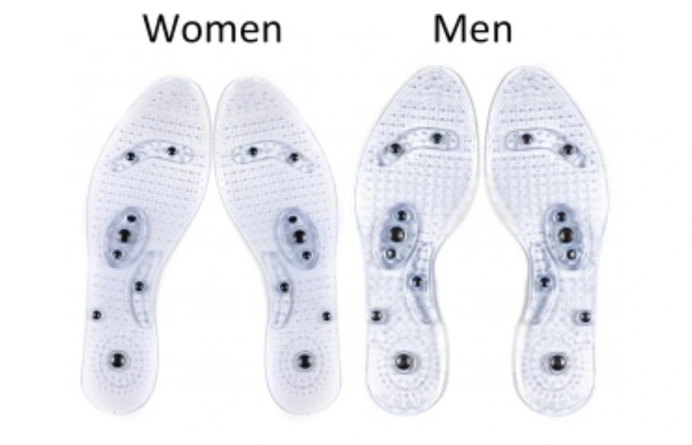 Manyetik Tabanlık ( Lisinya ) Manyetik Tabanlık ( Lisinya )