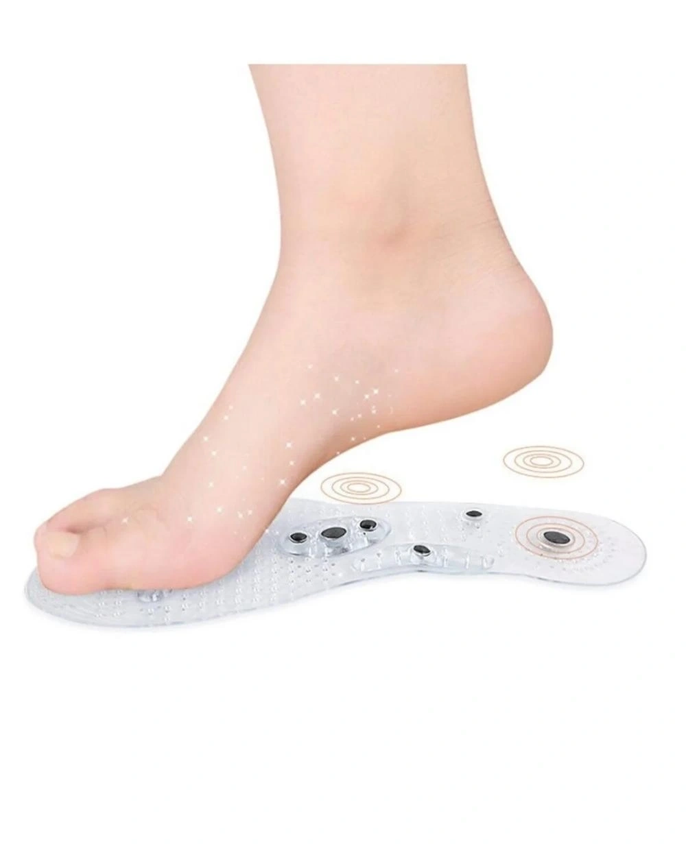 Manyetik Tabanlık ( Lisinya )