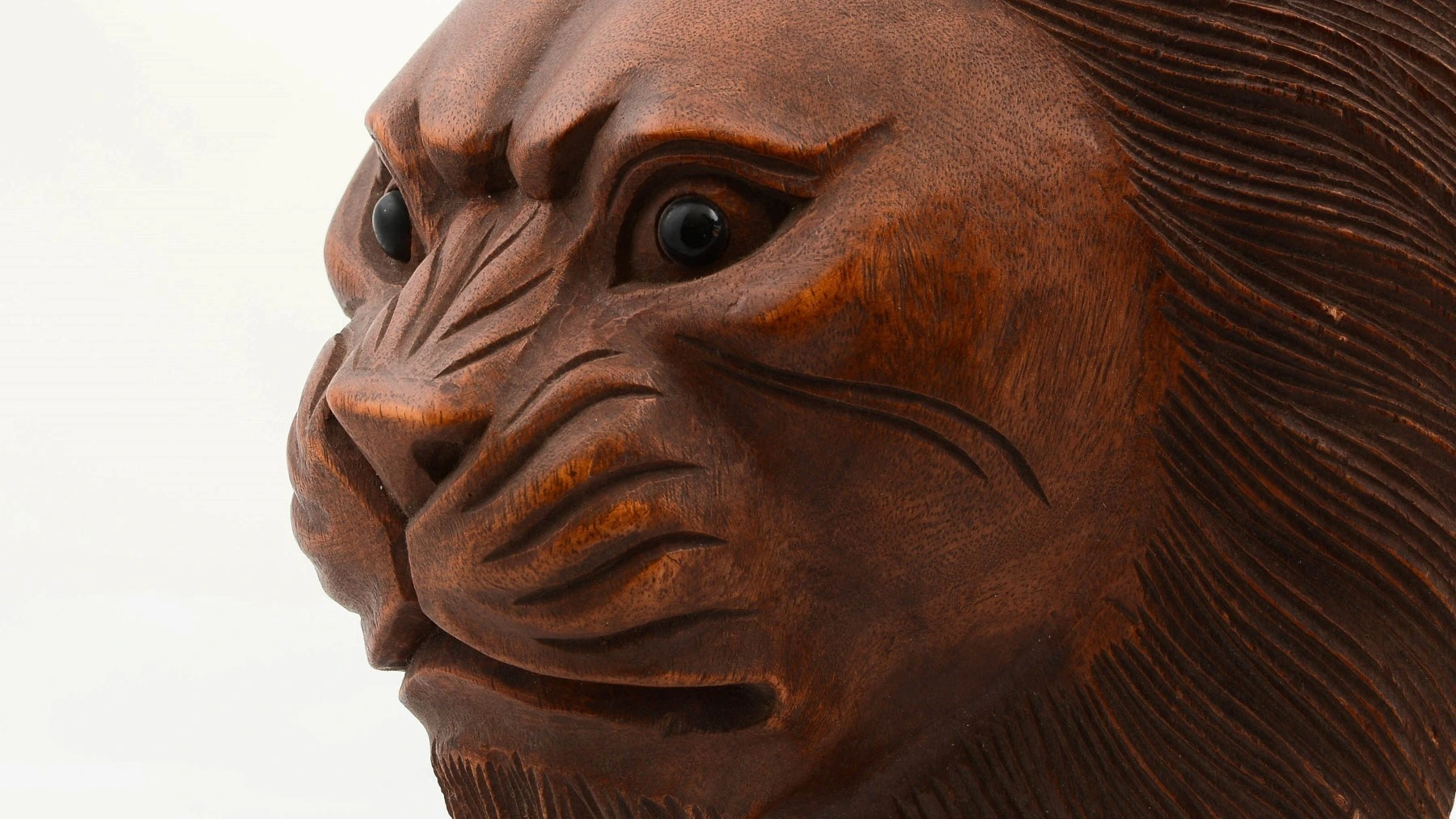 Maun Ağacı El Yapımı Dekoratif Aslan Büstü ( Lisinya ) Maun Ağacı El Yapımı Dekoratif Aslan Büstü ( Lisinya )