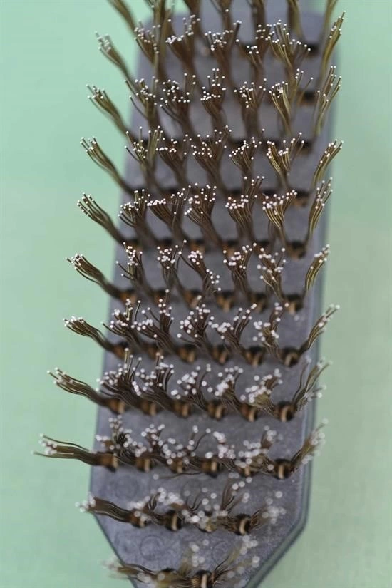 Metal Tel Fırça Plastik Saplı Pas Kir Sökme Temizleme Fırçası ( Lisinya ) Metal Tel Fırça Plastik Saplı Pas Kir Sökme Temizleme Fırçası ( Lisinya )