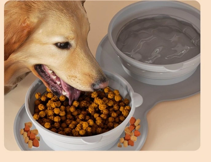 Mikopet Katlanabilir İkili Mama Ve Su Kabı ( Lisinya )