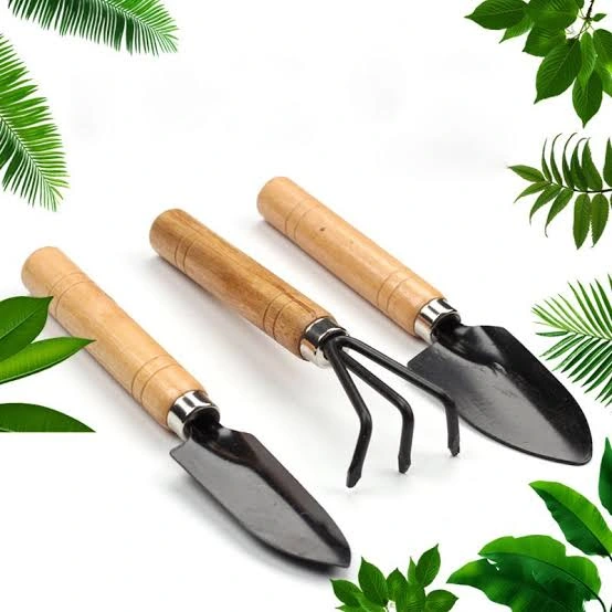 Mini Ahşap Hobi Bahçe Seti 3 Adet ( Lisinya )