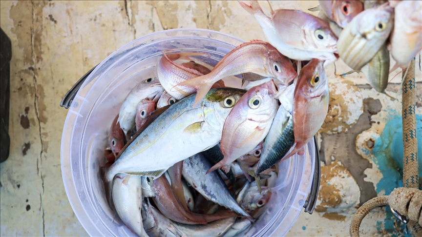 Misina İpi 300 Metre ( Lisinya )