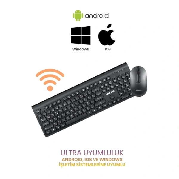 Multimedya Q Klavye Ve Mouse Seti ( Lisinya ) Multimedya Q Klavye Ve Mouse Seti ( Lisinya )