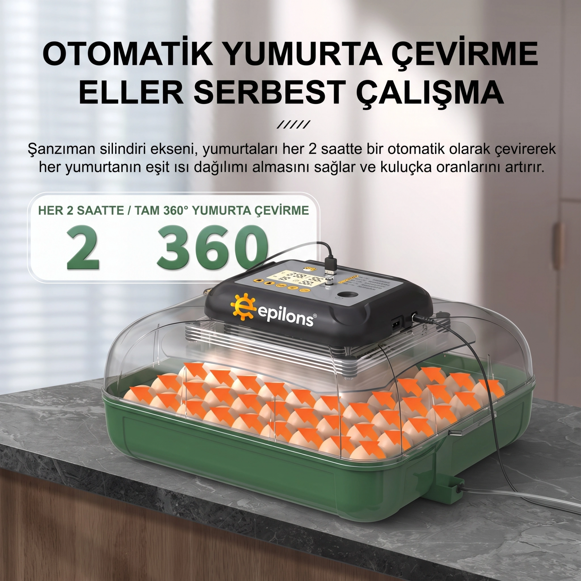 MY110 Yumurta Kapasiteli Tam Otomatik Kuluçka Makinesi Su Pompası ve Yedek Çevirme Motoru Hediyeli ( Lisinya ) MY110 Yumurta Kapasiteli Tam Otomatik Kuluçka Makinesi Su Pompası ve Yedek Çevirme Motoru Hediyeli ( Lisinya )
