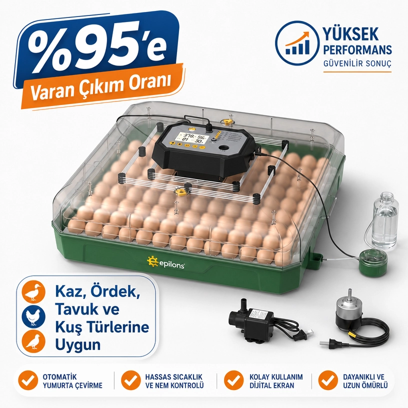 MY110 Yumurta Kapasiteli Tam Otomatik Kuluçka Makinesi Su Pompası ve Yedek Çevirme Motoru Hediyeli ( Lisinya ) MY110 Yumurta Kapasiteli Tam Otomatik Kuluçka Makinesi Su Pompası ve Yedek Çevirme Motoru Hediyeli ( Lisinya )