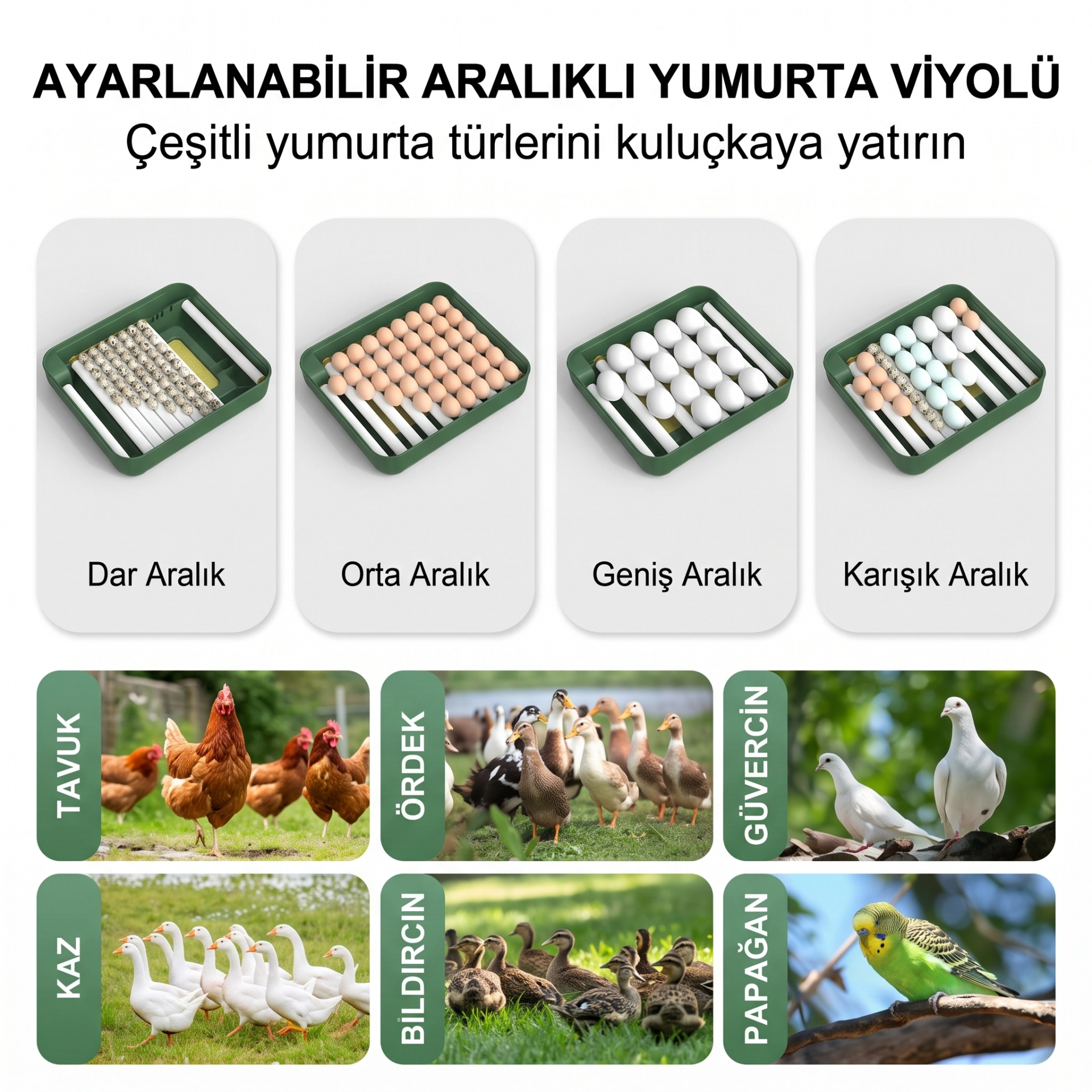 MY110 Yumurta Kapasiteli Tam Otomatik Kuluçka Makinesi Su Pompası ve Yedek Çevirme Motoru Hediyeli ( Lisinya ) MY110 Yumurta Kapasiteli Tam Otomatik Kuluçka Makinesi Su Pompası ve Yedek Çevirme Motoru Hediyeli ( Lisinya )