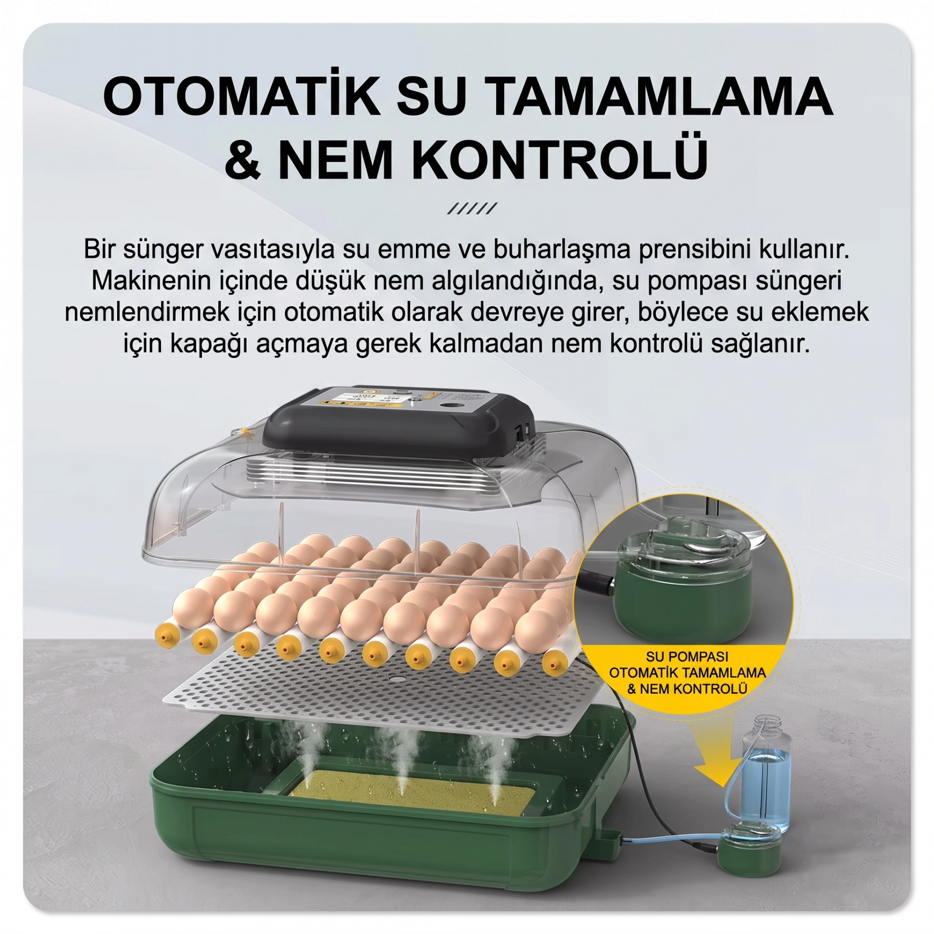 MY110 Yumurta Kapasiteli Tam Otomatik Kuluçka Makinesi Su Pompası ve Yedek Çevirme Motoru Hediyeli ( Lisinya ) MY110 Yumurta Kapasiteli Tam Otomatik Kuluçka Makinesi Su Pompası ve Yedek Çevirme Motoru Hediyeli ( Lisinya )
