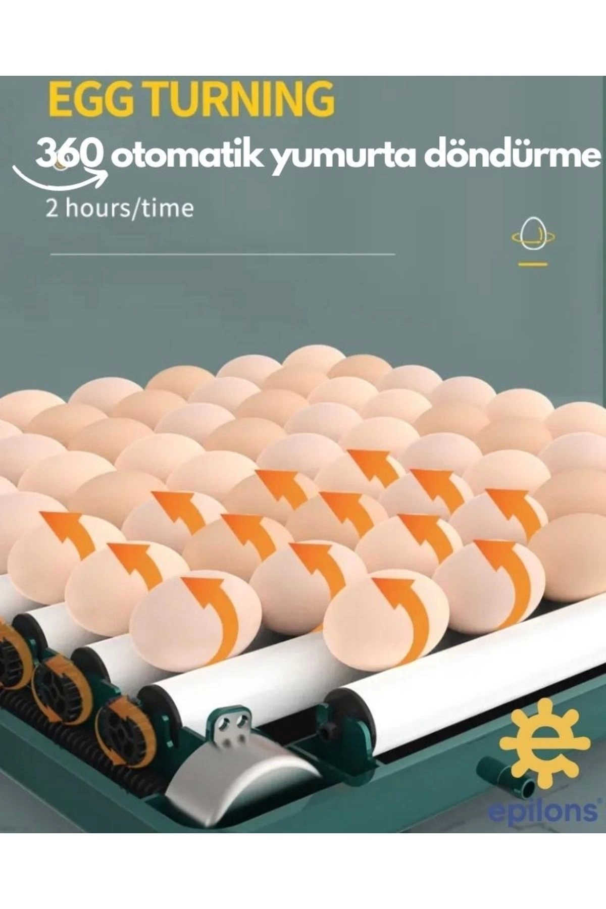 Otomatik Kuluçka Makinesi (130 Yumurta) Tavuk, Bıldırcın Güvercin Hindi Kaz , Kablosuz Kamera İle İzleme ( Lisinya )