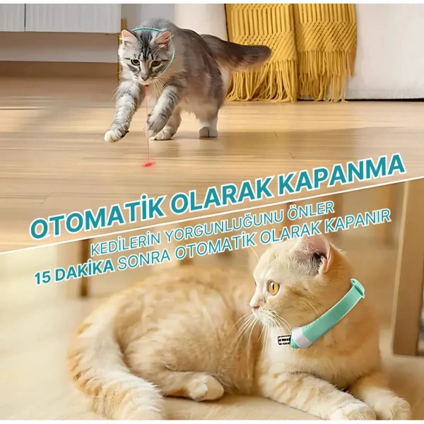 Otomatik Lazer Oyun Tasması ( Lisinya )