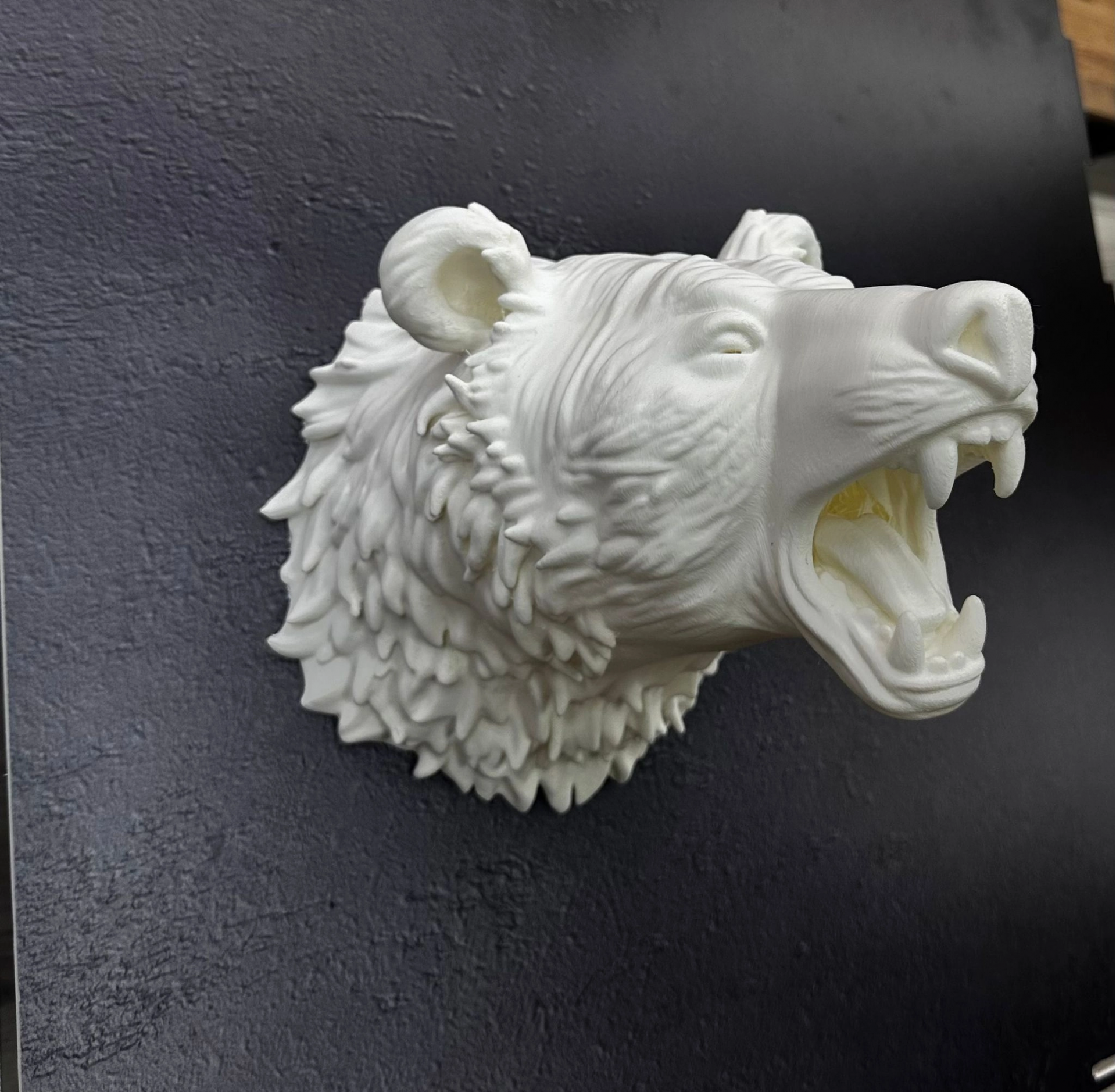 Özel Tasarım Beyaz Ayı Duvar Aksesuarı 3d Dekoratif Heykel 25x19 Cm ( Lisinya )