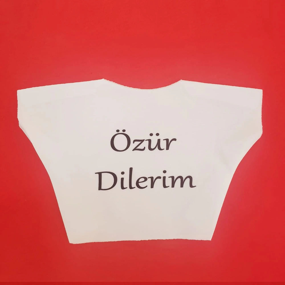 Özür Dilerim Yazılı Peluş Oyuncak Ayı Tişörtü ( Lisinya ) Özür Dilerim Yazılı Peluş Oyuncak Ayı Tişörtü ( Lisinya )