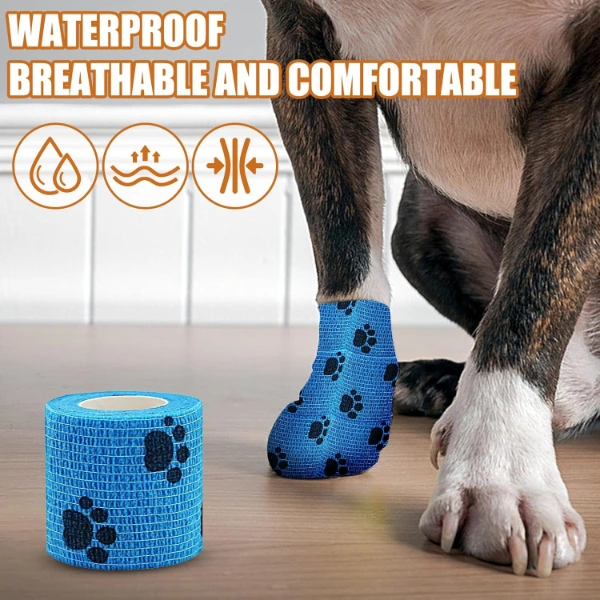 Pati Bandajı ( Lisinya )