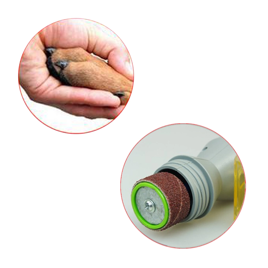 Pedi Paws Kedi Köpek Evcil Hayvan Tırnak Törpüsü Düzeltici ( Lisinya ) Pedi Paws Kedi Köpek Evcil Hayvan Tırnak Törpüsü Düzeltici ( Lisinya )