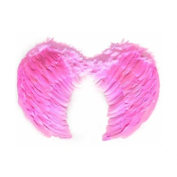 Pembe Melek Kanadı Kostümü Küçük ( Lisinya ) Pembe Melek Kanadı Kostümü Küçük ( Lisinya )