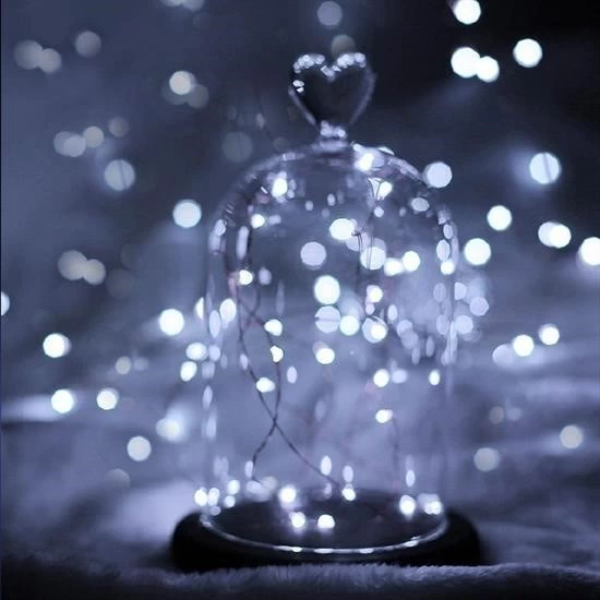 Pilli 5 Metre Dekoratif Peri Led Beyaz Aydınlatma Süsleme Lambası ( Lisinya ) Pilli 5 Metre Dekoratif Peri Led Beyaz Aydınlatma Süsleme Lambası ( Lisinya )