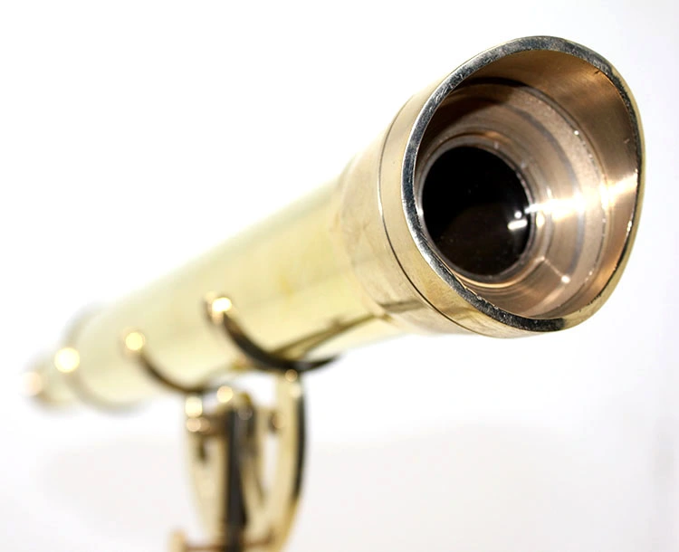 Pirinç Ayaklı Dürbün ( Lisinya )