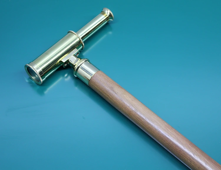 Pirinç Dürbün Baston ( Lisinya )