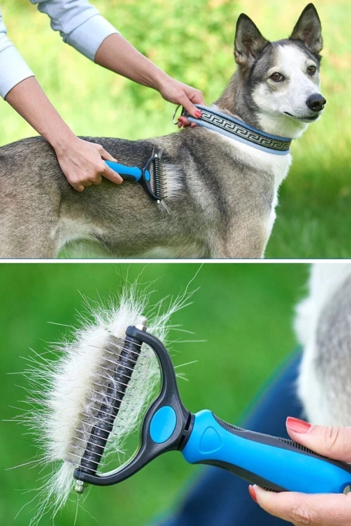 Plastik Saplı Metal Kedi Köpek Bakım Kıtık Tüy Topak Açıcı Tarak 1adet ( Lisinya ) Plastik Saplı Metal Kedi Köpek Bakım Kıtık Tüy Topak Açıcı Tarak 1adet ( Lisinya )