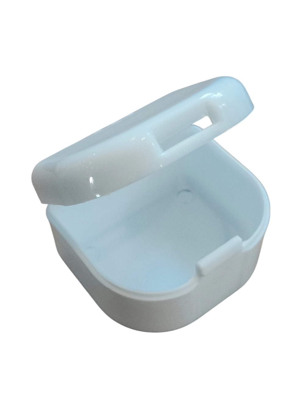 Protez Diş Saklama Kabı 1155 ( Lisinya )