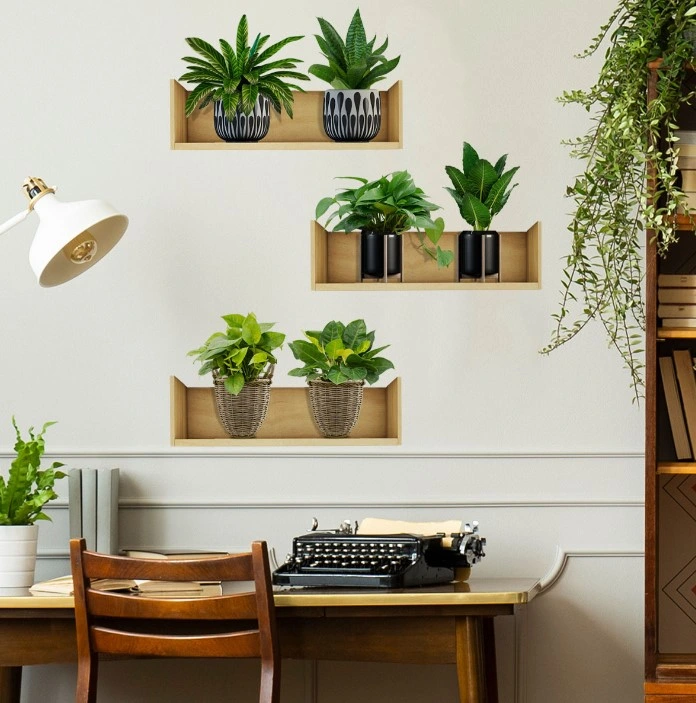 Raflı Bitki Tasarımlı Yapışkanlı Sticker 20*30 Cm 3lü Set ( Lisinya ) Raflı Bitki Tasarımlı Yapışkanlı Sticker 20*30 Cm 3lü Set ( Lisinya )