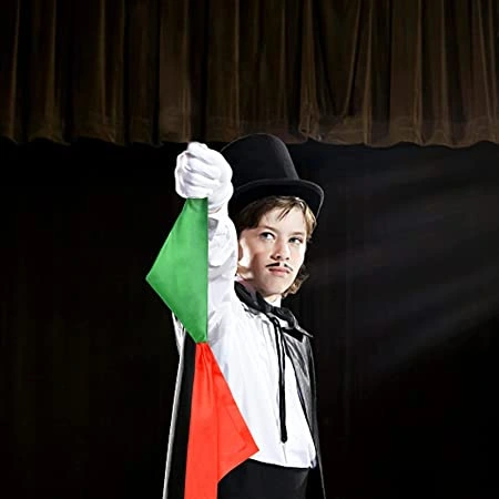 Renk Değiştiren Sihirli Mendil Sihirbazlık Oyunu ( Lisinya ) Renk Değiştiren Sihirli Mendil Sihirbazlık Oyunu ( Lisinya )