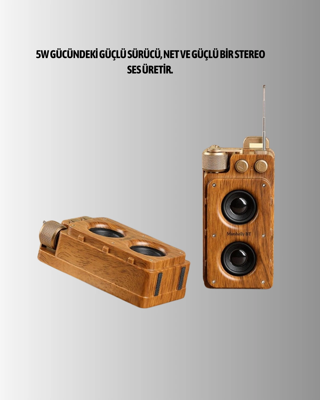 Retro Bluetooth Hoparlör Ahşap Görünümlü 5w Çift Stereo Ses ( Lisinya )