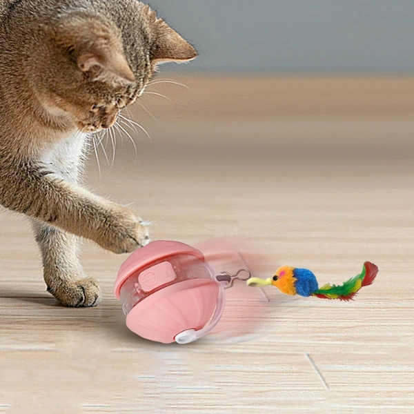 Şarjlı Hareketli Kedi Topu Oyuncak ( Lisinya )