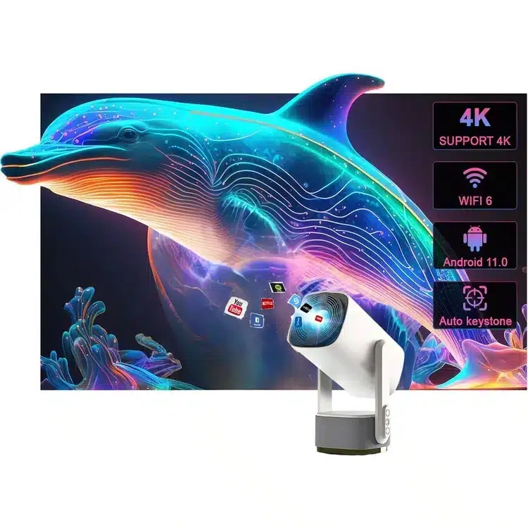 Şarjlı Projeksiyon ( Lisinya )