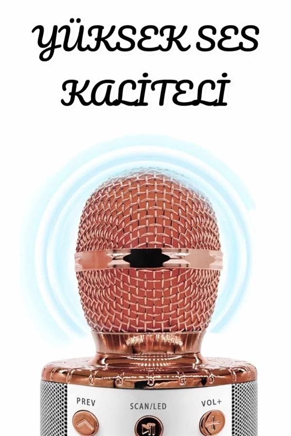 Şarjlı Ve Uzun Pil Ömürlü Karaoke Mikrofon Usb Bellek Destekli, Profesyonel Ses ( Lisinya ) Şarjlı Ve Uzun Pil Ömürlü Karaoke Mikrofon Usb Bellek Destekli, Profesyonel Ses ( Lisinya )