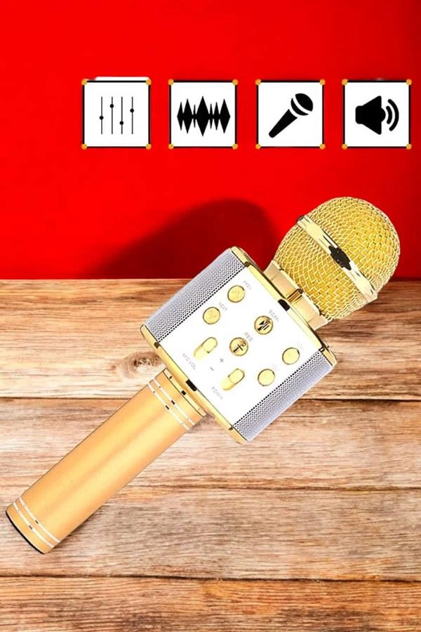 Şarjlı Ve Uzun Pil Ömürlü Karaoke Mikrofon Usb Bellek Destekli, Profesyonel Ses ( Lisinya ) Şarjlı Ve Uzun Pil Ömürlü Karaoke Mikrofon Usb Bellek Destekli, Profesyonel Ses ( Lisinya )