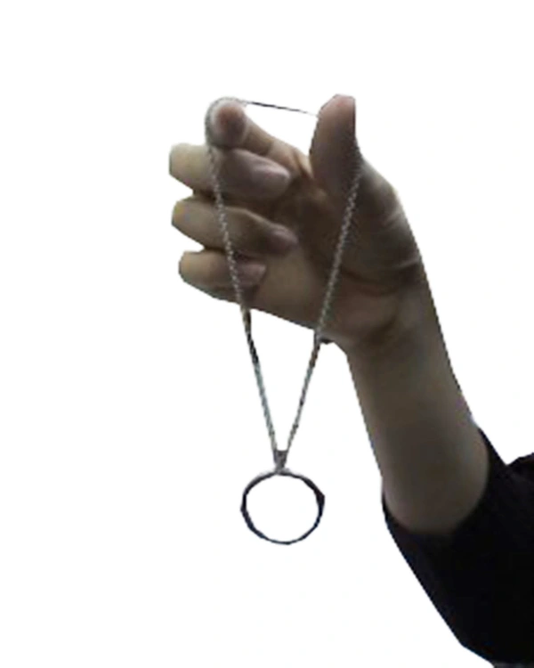 Sihirli Halka İllüzyon Oyunu ( Lisinya ) Sihirli Halka İllüzyon Oyunu ( Lisinya )