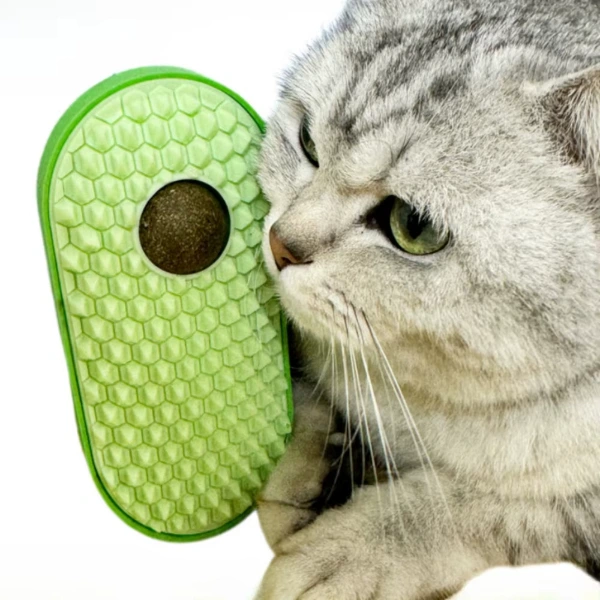 Silikon Kaşıyıcılı Kedi Otu ( Lisinya ) Silikon Kaşıyıcılı Kedi Otu ( Lisinya )