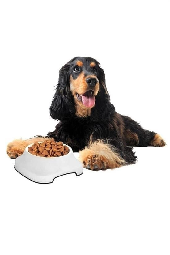 Silikon Kaydırmaz Taban Plastik Kedi Ve Köpek Mama Ve Su Kabı 2 L ( Lisinya ) Silikon Kaydırmaz Taban Plastik Kedi Ve Köpek Mama Ve Su Kabı 2 L ( Lisinya )